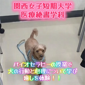 【医療秘書学科】「バイオセラピー」の授業で犬の行動と心理について学び癒しを体験！