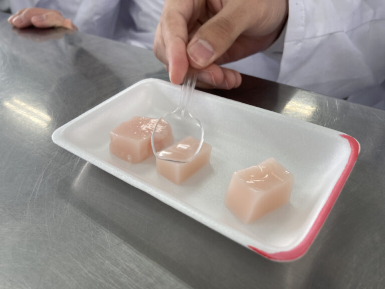 高大連携事業「ぷるんぷるん食感の科学」模擬授業を実施