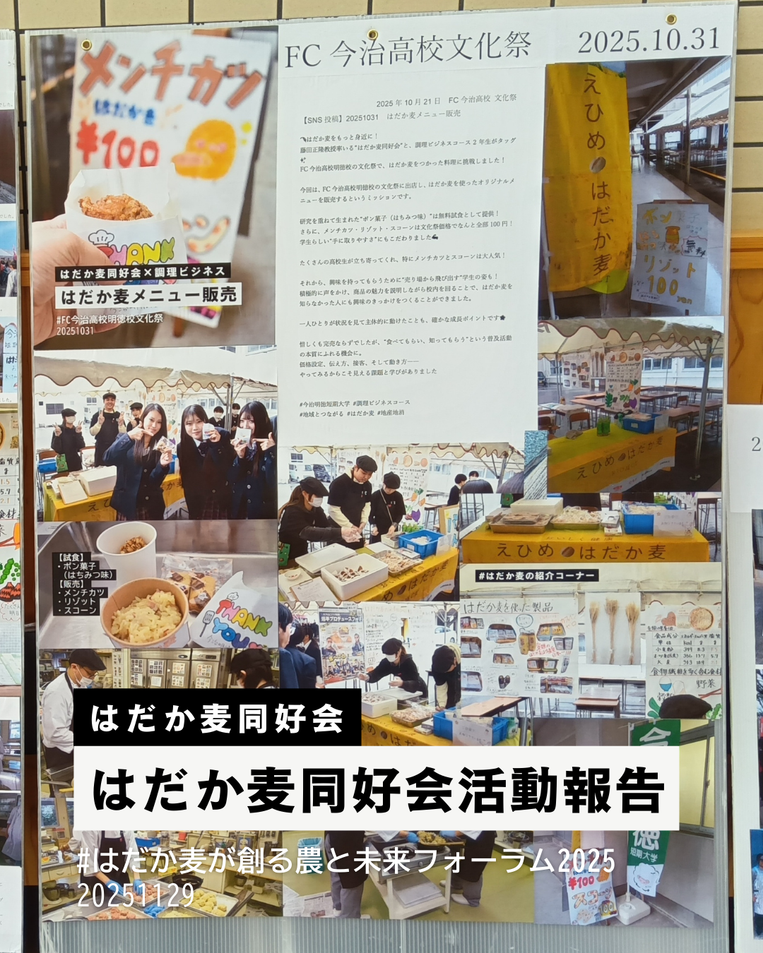 はだか麦同好会活動報告