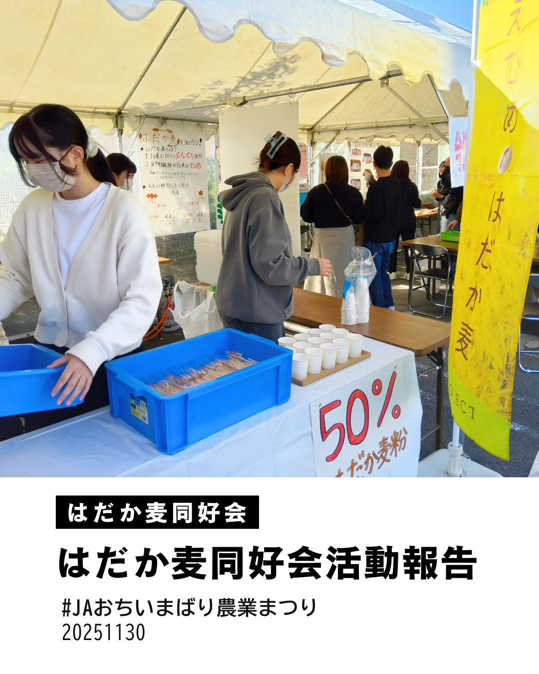 はだか麦同好会活動報告