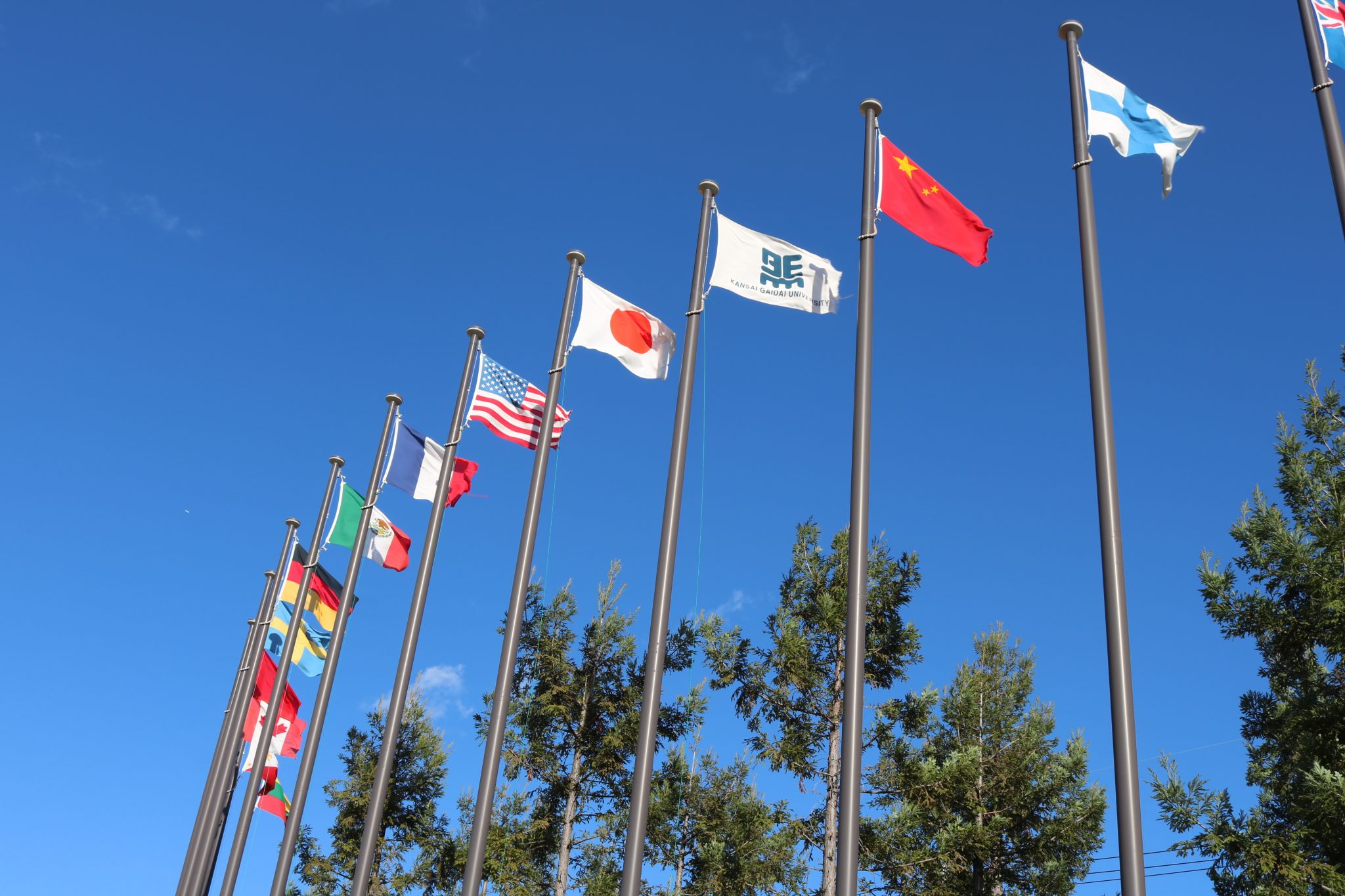 文部科学省の「数理・データサイエンス・AI教育プログラム（リテラシーレベル）」に、本学のプログラムが認定されました