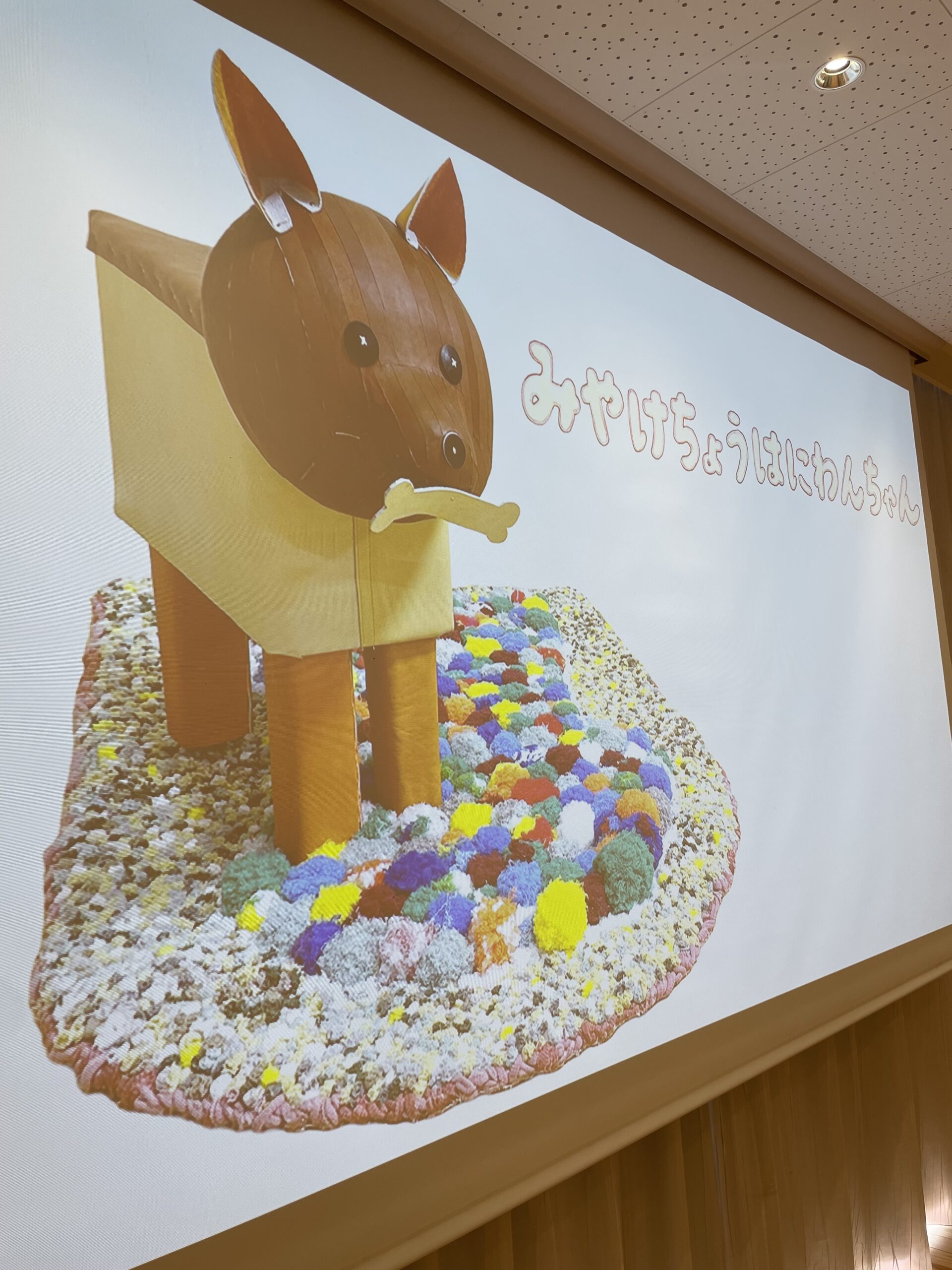 Upcycled Products！