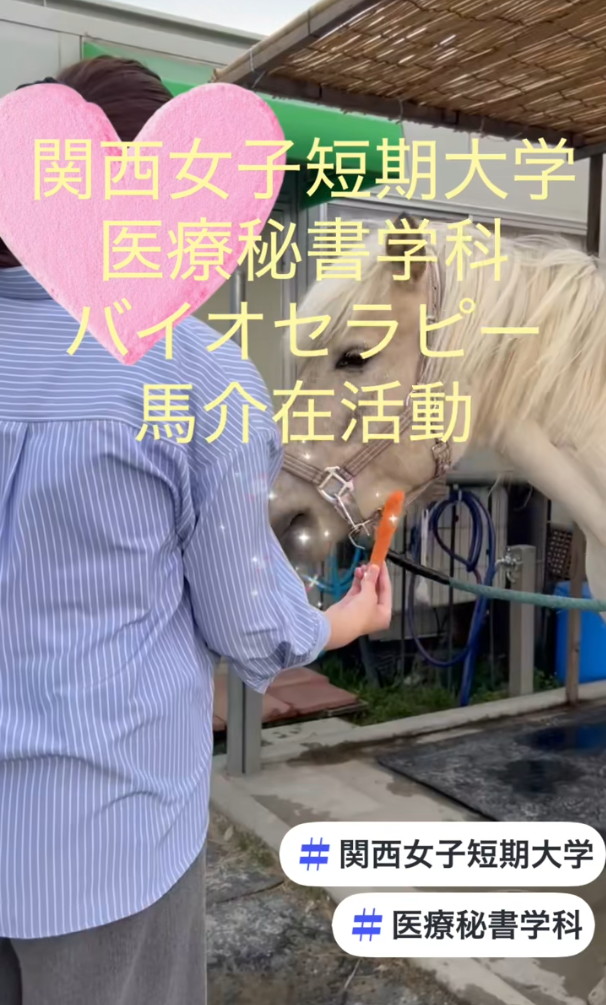 【医療秘書学科】仕掛けプログラム　バイオセラピー　馬介在活動に参加しました！