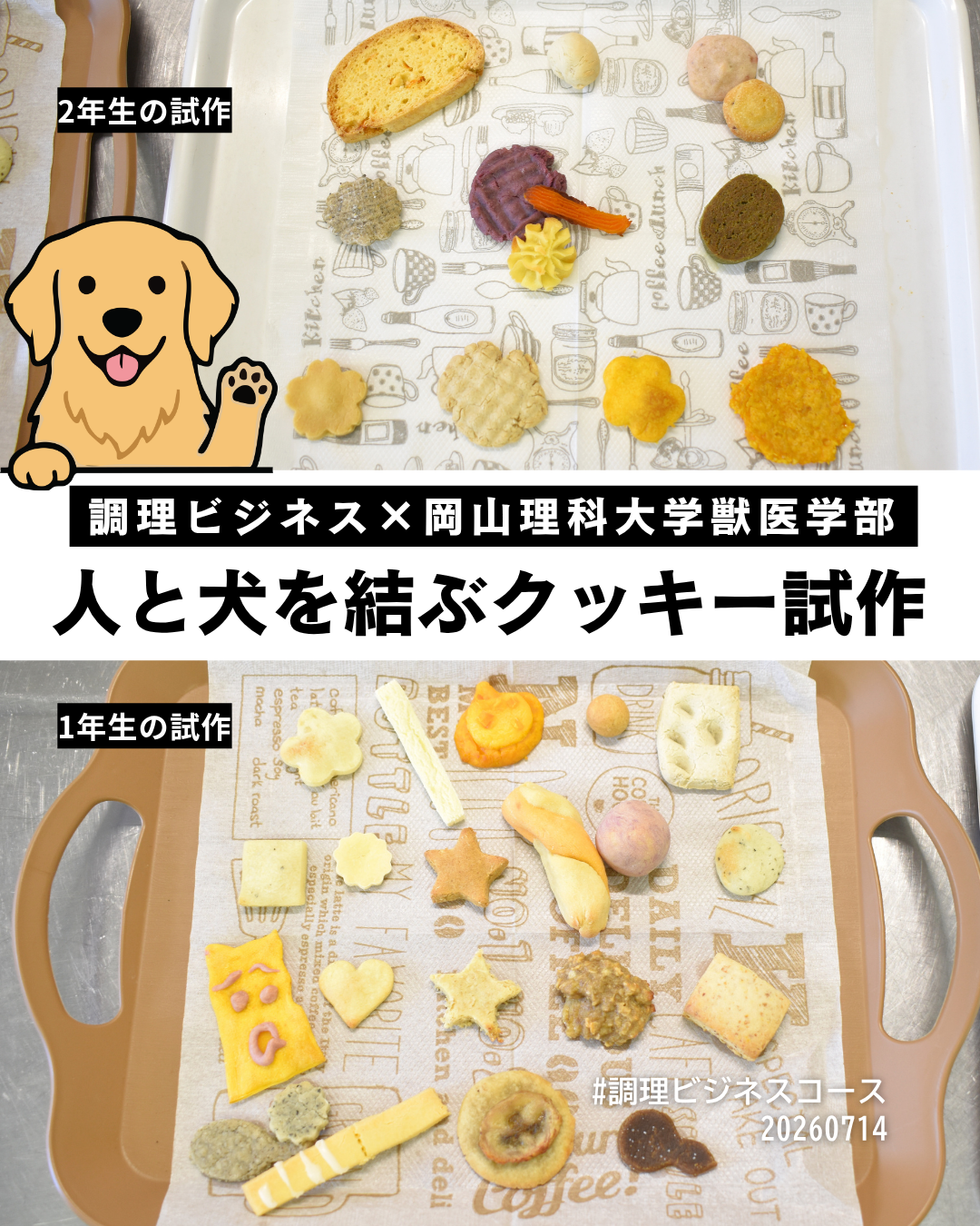 【調理ビジネス】人と犬を結ぶクッキー試作