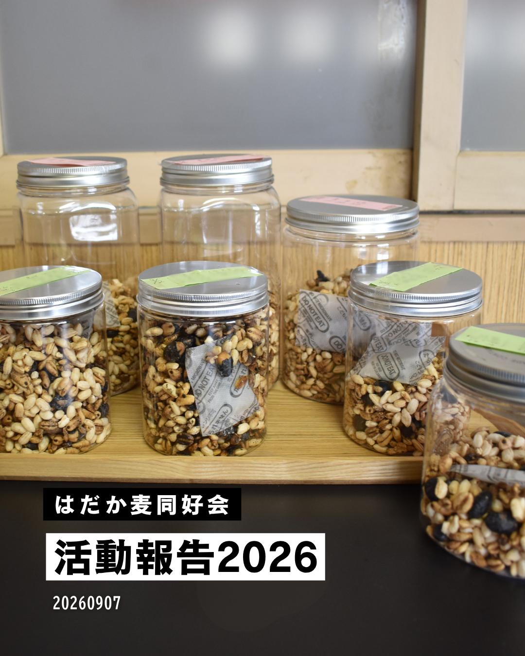 🌾はだか麦同好会 活動報告🌾